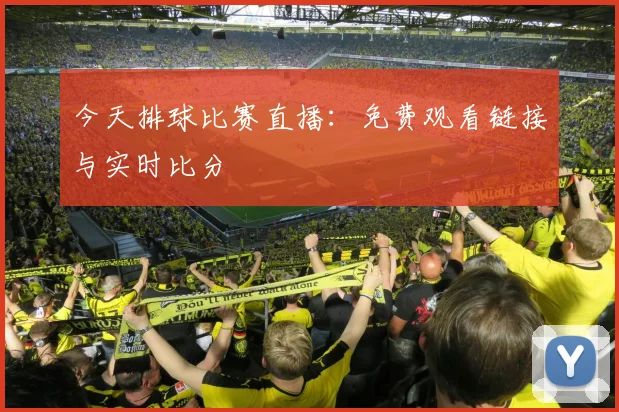 今天排球比赛直播：免费观看链接与实时比分