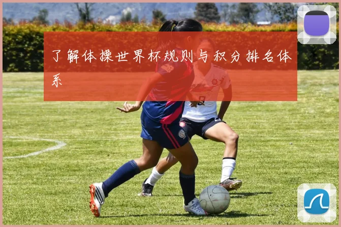 了解体操世界杯规则与积分排名体系