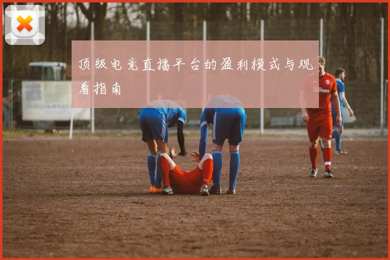 顶级电竞直播平台的盈利模式与观看指南